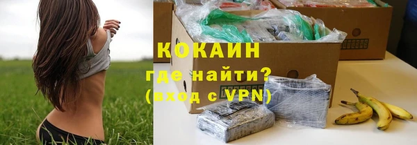 соль ск Новодвинск