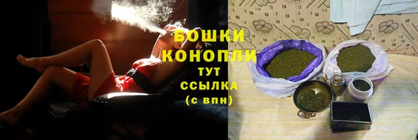 соль ск Новодвинск