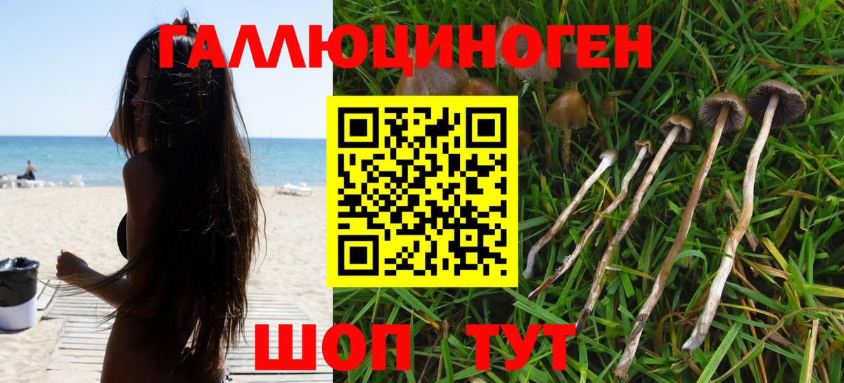 Конаково  Галлюциногенные грибы GOLDEN TEACHER  Галлюциногенные грибы мицелий  Вход с VPN 